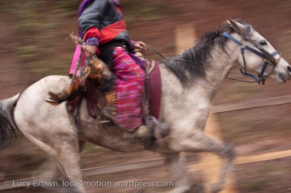 Jockey carrying a chicken on the final lap of his last year racing. Skach Koyl horse race, Todos Santos Cuchumatán, Huehuetenango, Guatemala