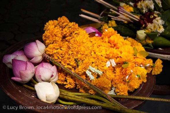 Temple offerings: lotus flowers & marigolds, Chiang Mai, Thailand
