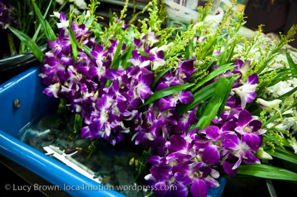 Orchids, market, Krabi, Thailand