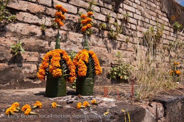 Offerings at That Dam, Vientiane, Laos