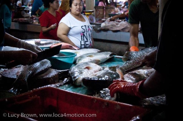Fish counter, morning market, Krabi town, Krabi, Thailand
